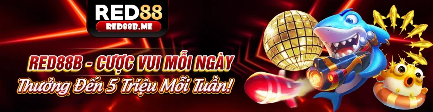 Ảnh minh họa cá cược thể thao
